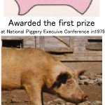 , Ishikawa Stockbreeding, Inc. (Pig Manure Dewatering), AMCON Europe s.r.o.
