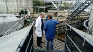 , Newsletter 8/2017, AMCON Europe s.r.o.