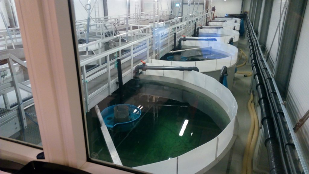 Fish hatchery AMCON sludge dewatering solution