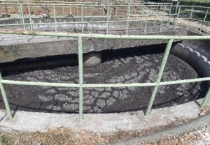 TAT_3 Activated sludge at WWTP TAT