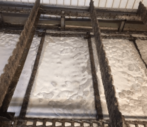 Dewatered sludge