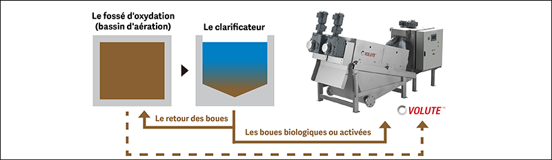 Déshydratation directe à partir du clarificateur final ou même directement à partir du bassin d'aération (courant au Japon).