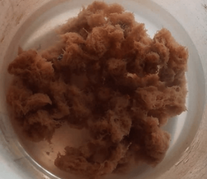 Flocculation quality