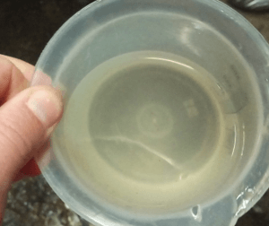 Filtrate