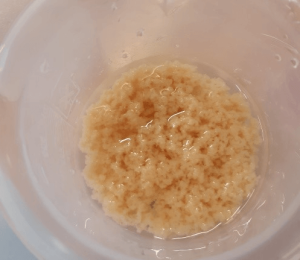 dairy_plant_03