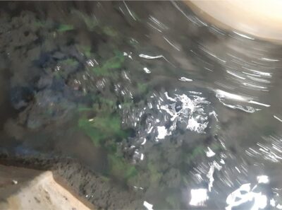 1. Typical flocculation quality 1. Typical flocculation quality