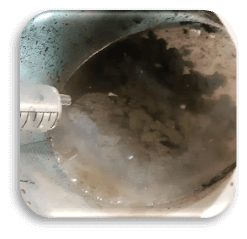Mixed sludge flocculation
